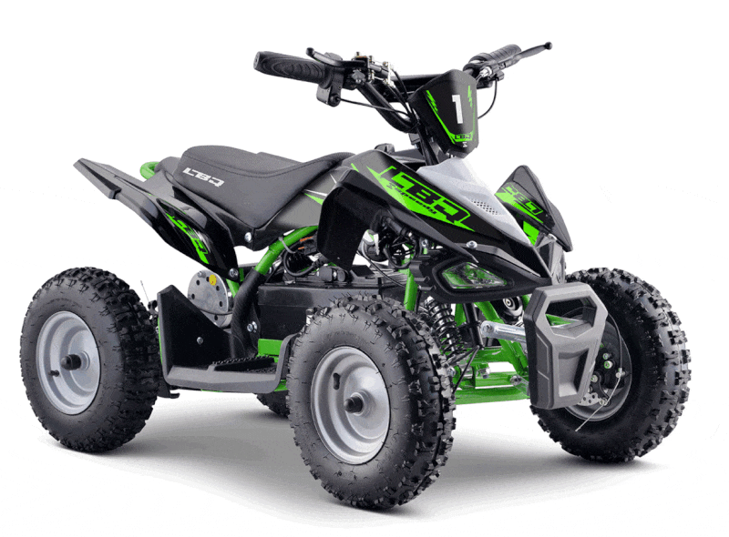 Quad 800W E-Speedy BW6 Vert